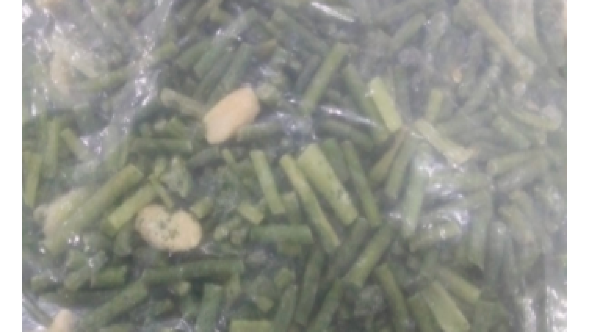 sayur tumisan